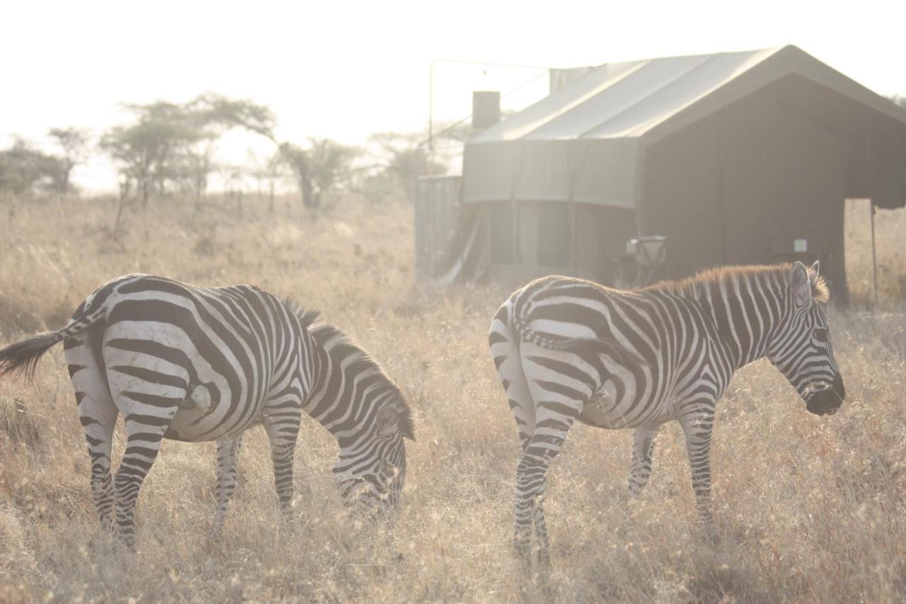 Kananga Special Tented Camp Banagi Extérieur photo